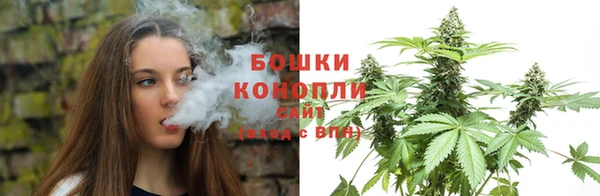 ПСИЛОЦИБИНОВЫЕ ГРИБЫ Елизово