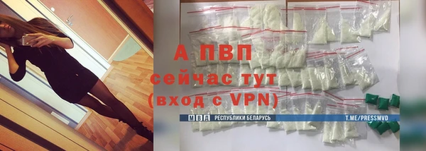 ПСИЛОЦИБИНОВЫЕ ГРИБЫ Елизово