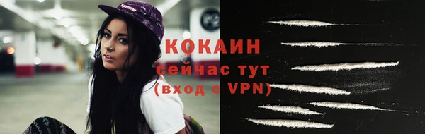 ПСИЛОЦИБИНОВЫЕ ГРИБЫ Елизово