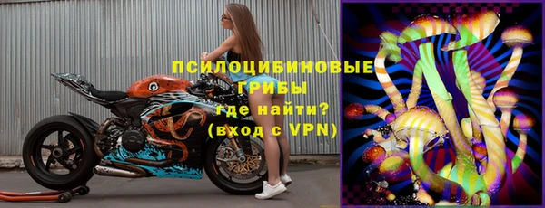 гидропоника Елабуга