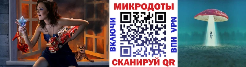 Купить  Кириши  Псилоцибиновые грибы Psilocybe 